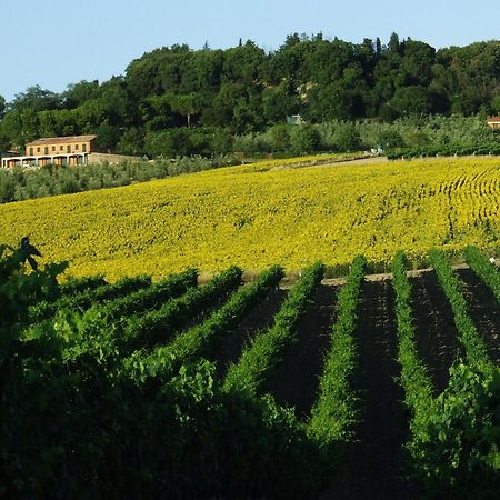 Bio Agriturismo Il Torrione Villa ซาตูร์เนีย ภายนอก รูปภาพ