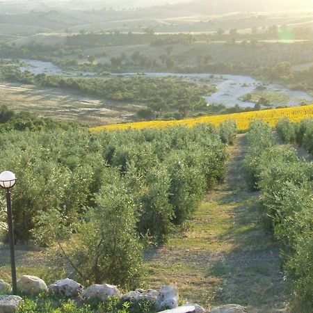 Bio Agriturismo Il Torrione ซาตูร์เนีย ภายนอก รูปภาพ