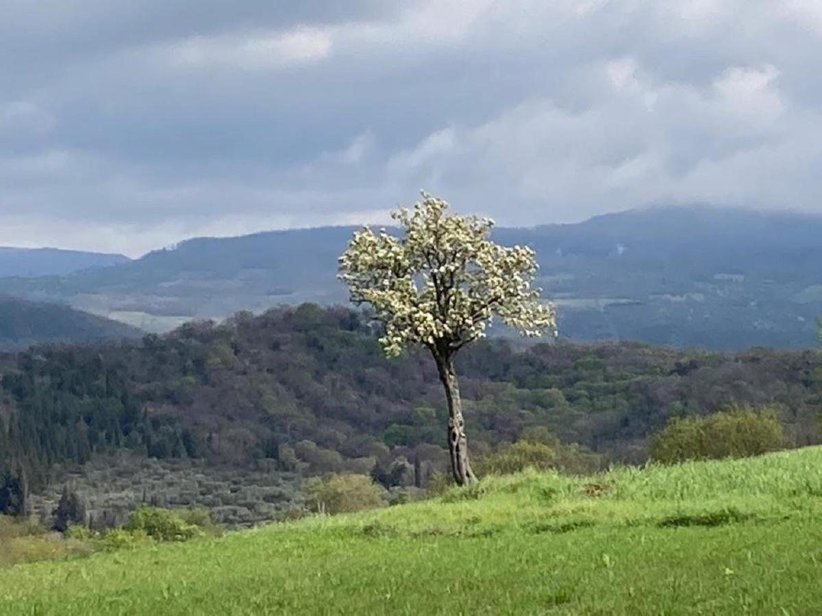 Bio Agriturismo Il Torrione ซาตูร์เนีย ภายนอก รูปภาพ