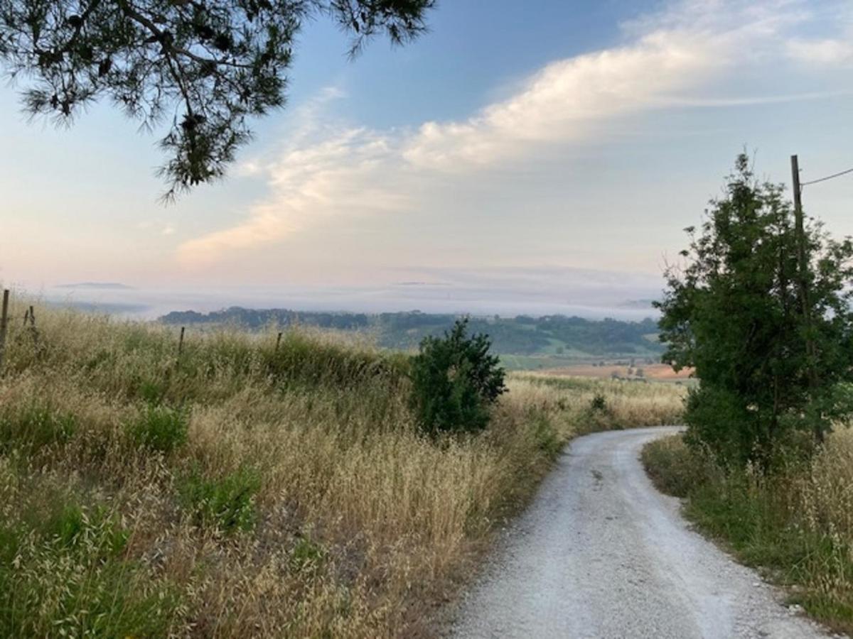 Bio Agriturismo Il Torrione ซาตูร์เนีย ภายนอก รูปภาพ