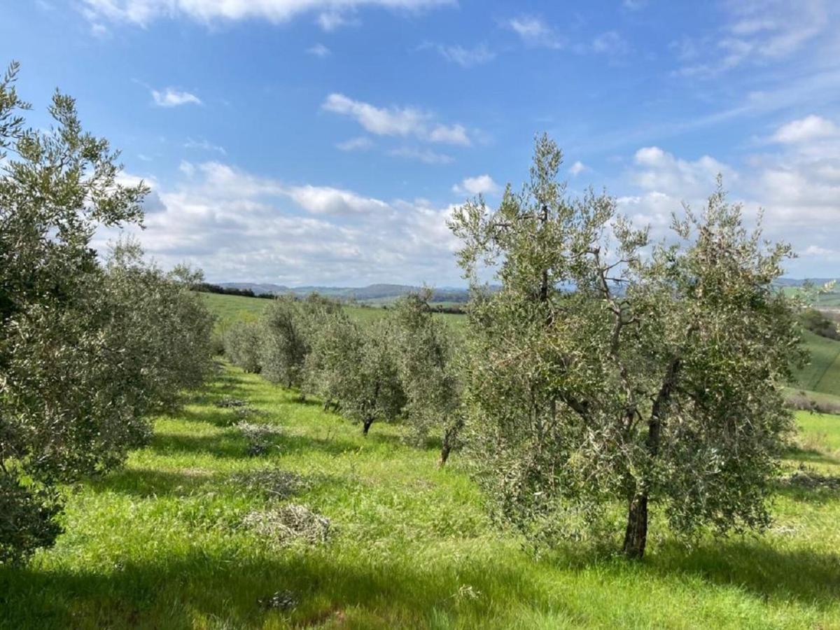 Bio Agriturismo Il Torrione ซาตูร์เนีย ภายนอก รูปภาพ