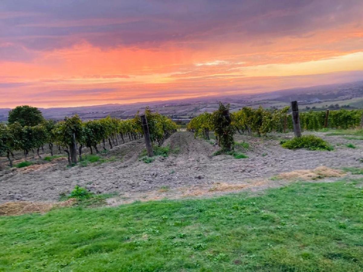 Bio Agriturismo Il Torrione ซาตูร์เนีย ภายนอก รูปภาพ