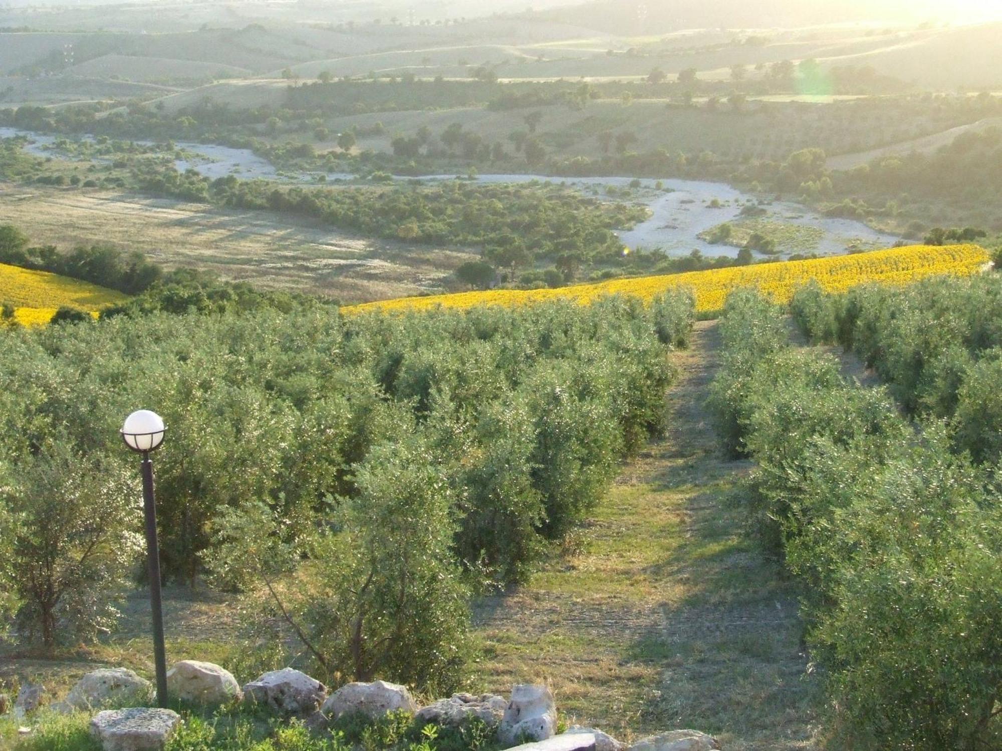 Bio Agriturismo Il Torrione Villa ซาตูร์เนีย ภายนอก รูปภาพ