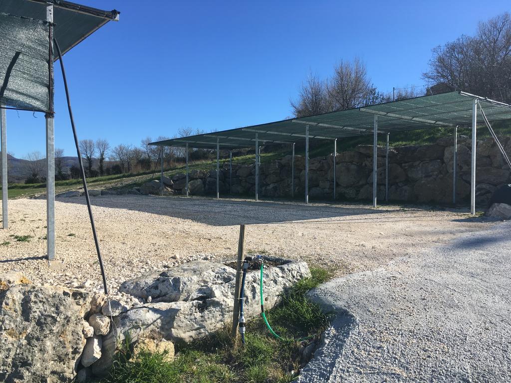 Bio Agriturismo Il Torrione ซาตูร์เนีย ภายนอก รูปภาพ